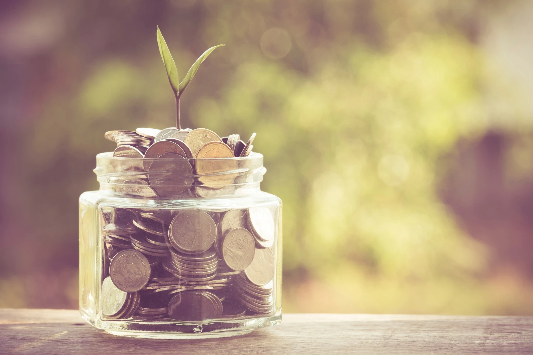 silver coins in jar filled to top with a small plant at the top.